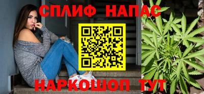 СК Будённовск