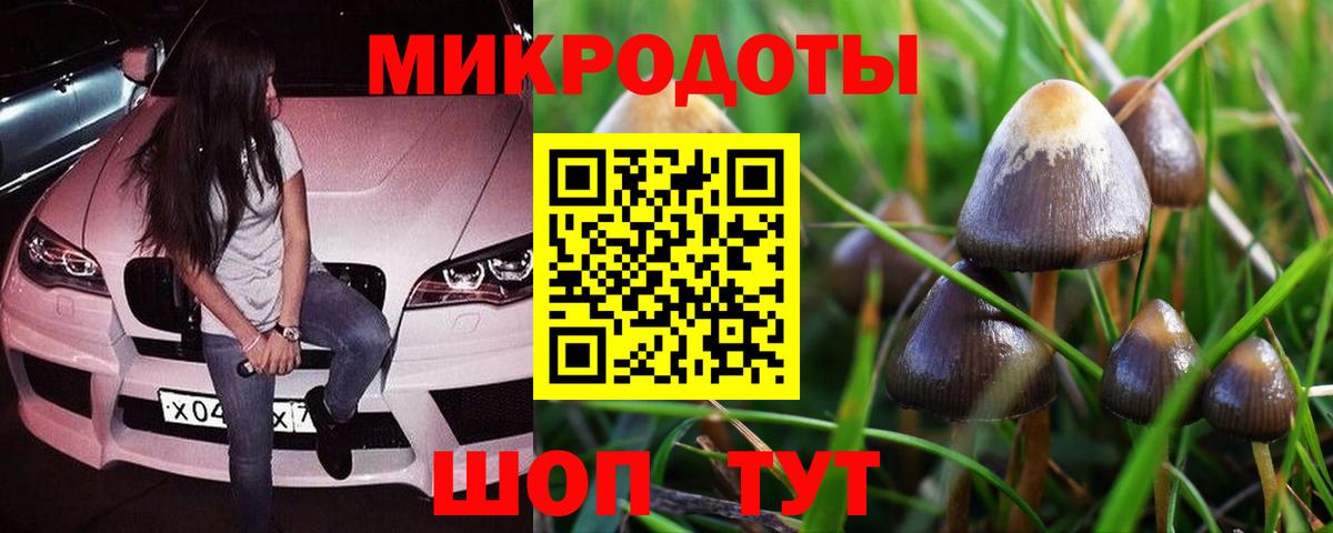 Галлюциногенные грибы мицелий  Вход с VPN  Псилоцибиновые грибы мухоморы  Ноябрьск 